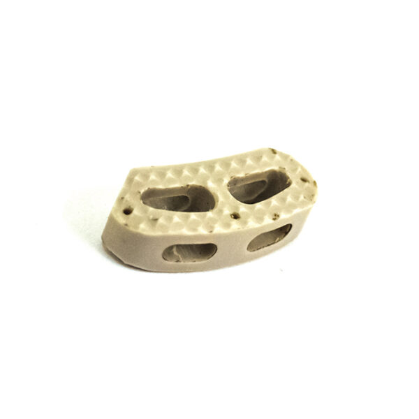 Cage lumbar anatómico