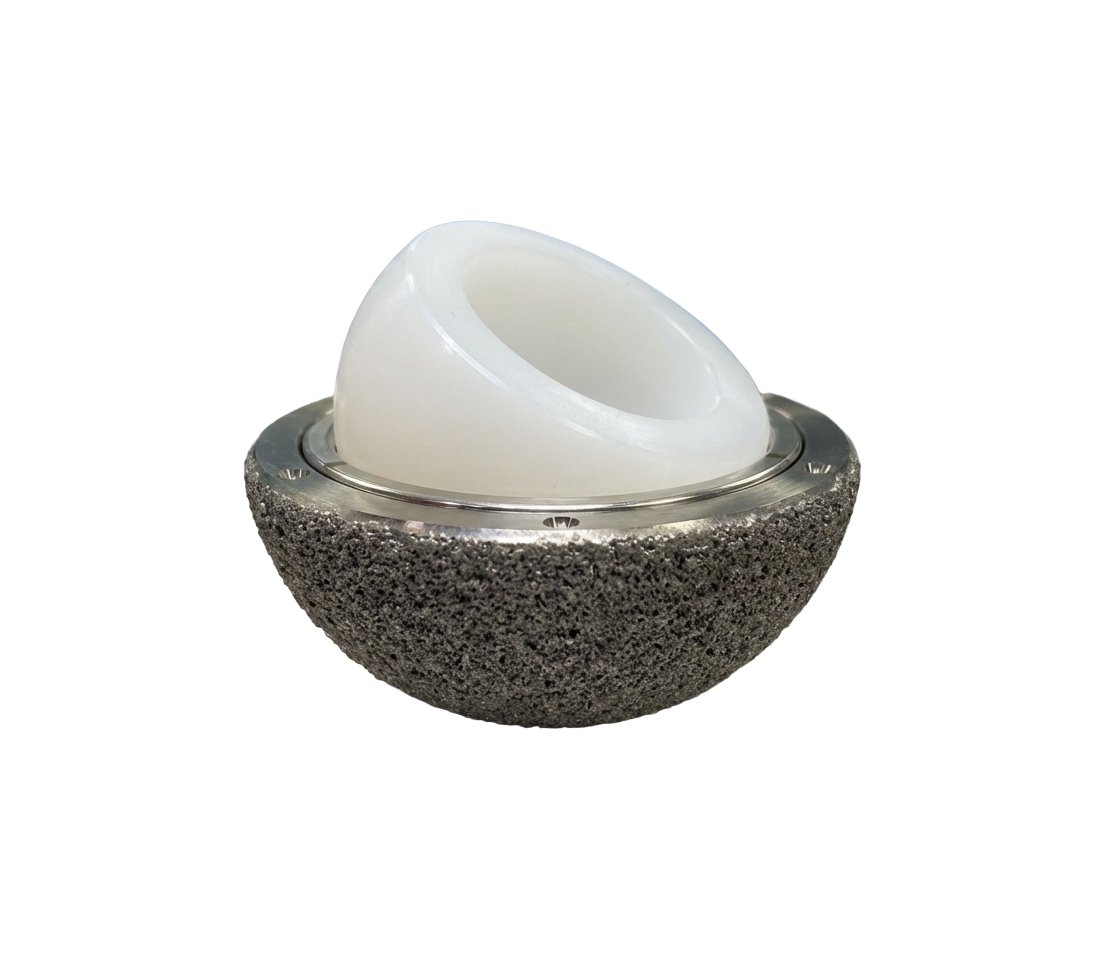 Cotilo acetabular DM no cementado