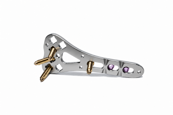 Placa volar poliaxial-multidireccional